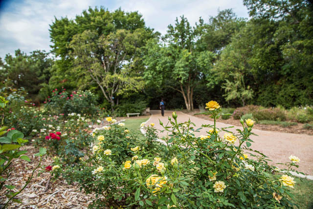 City of Farmers Branch